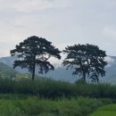 하동 이미지