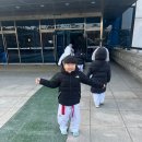 성암체육관(태권도) 이미지