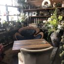 플로리안(5) 이미지