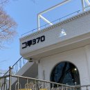 그루370 네이버블로그
