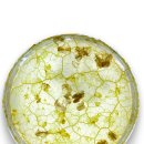 주식회사 블록체인케이 이미지