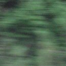 초록세상 이미지