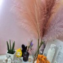 엘리네일 | 은은한 자석젤, 두 번째 방문에도 만족도 최고였던 면목동 엘리네일 후기