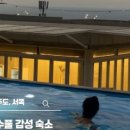 퐁낭아래 1978 이미지