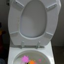 젤미세탁 이미지