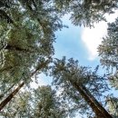 (구)상록구청 이미지