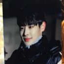 가비애