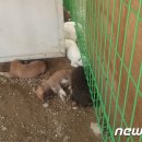 이성찬농장 뉴스1