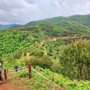 사기점목장 이미지