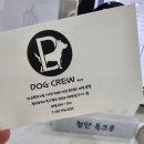 독크루 첨단점 이미지