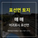 성읍리-19 이미지