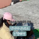 양지파인리조트 이미지