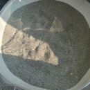 그루비펫 | 이수펫 그루비 벤토나이트모래, 모래삽 후기