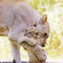 다정의원 이미지