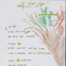 시감상 - (664) 박순자의 ‘한글 나무’/ 시인 김용택 이미지