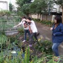 서귀북초, EM 흙공으로 학교 연못과 하천 깨끗하게 가꿔요! 이미지