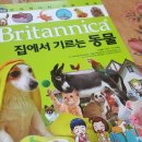 봄봄그루밍샵 | [브리태니커 만화 백과]애완 동물들에게 대해 배워요
