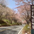 산꽃로 이미지