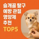애니멀바이오케어 | 소형견 필독! 슬개골 탈구 예방 관절 영양제 추천 TOP5