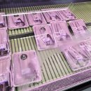 바람난장어 이미지