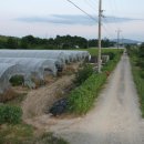 성하농장 이미지