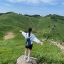 초원약수터 | 6월 민둥산 초보자 등산코스 거북이 약수터 쉼터 출발 당일치기 포토존