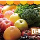 성실야채청과