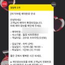 월정씨하루 | 제주 월정리해수욕장 감성 숙소 추천 | 월정씨하루펜션 | 201호 프라이빗 오션뷰 2박 연박 후기