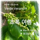 아모르페루아노
