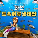 화천 황쏘가리 서식지 | 화천 아이와 가볼만한곳｜무료 물고기먹이체험 가능한 토속어류생태체험관 후기