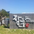 장호비치캠핑장 이미지