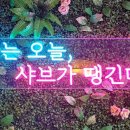샤브샤브 우월