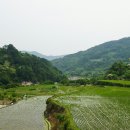 송전마을(송전) 이미지