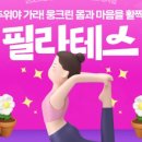 청년 필라테스 네이버블로그
