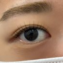 더나 | 창원 속눈썹펌 오늘더나은 후기✨