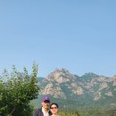 월출산고인돌펜션 이미지