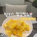 할리스 일광신도시점 | 커피,컴포즈, 이디야 빙수 추천하려다..훨씬 취향인 JMT 할리스 망고 빙수 후기 🍧 일광 카페 일광신도시점