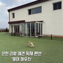 뽀아 하우스 | 🐶 강화 | 뽀아하우스 내돈내산 후기 [애견 펜션]