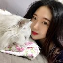 한동물병원 (출장진료 전문) 네이버블로그