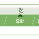 서론: 사회복지정책의 가치 갈등이란 무엇인가? 이미지