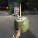 오페라 <마을벤치> | 5. [하노이 근교] 닌빈 일일투어 후기｜바이딘 사원·짱안 보트투어·항무아산