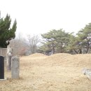 어연 함안이씨 어변갑묘 이미지