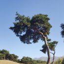 이삼장군 재실 이미지