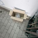 공임나라 방화점 이미지