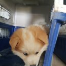 신서로 이미지