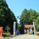 힐링건강랜드 이미지