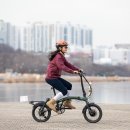 렉스디테일 이미지