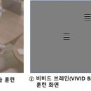 비비드13(vivid13) 이미지