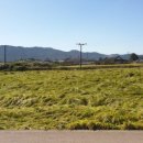 대마경로당 이미지