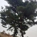 초막농장 이미지